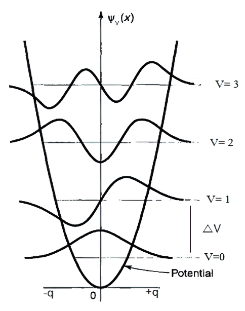 Figura 5