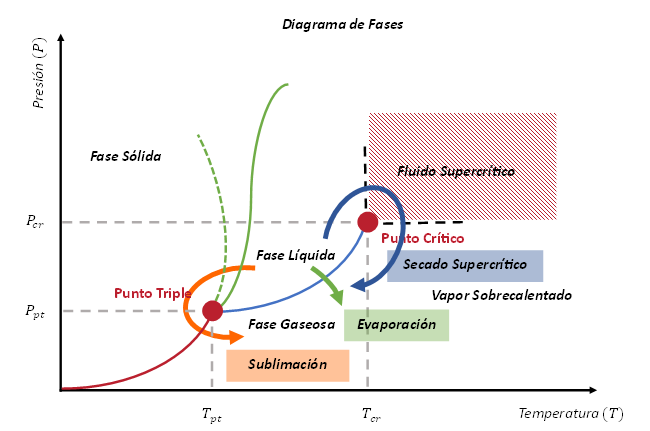 Figura 4